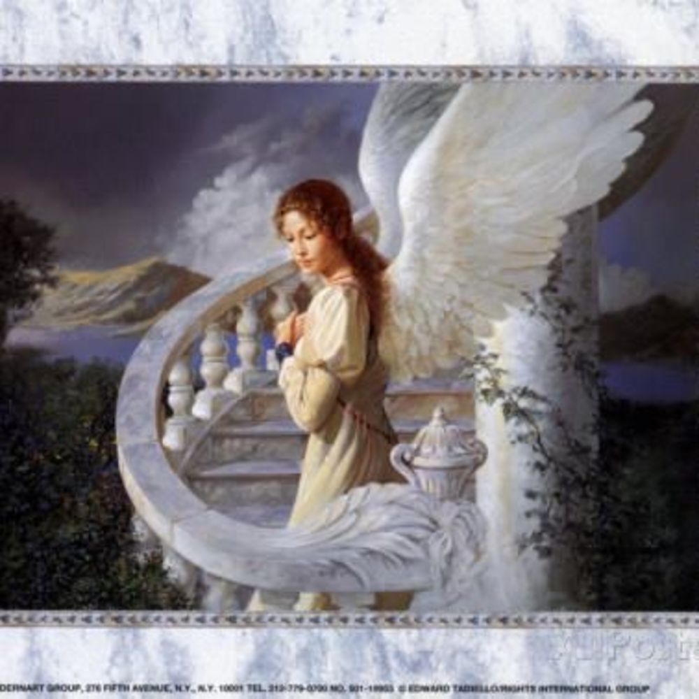 Meet your Posher, Afi